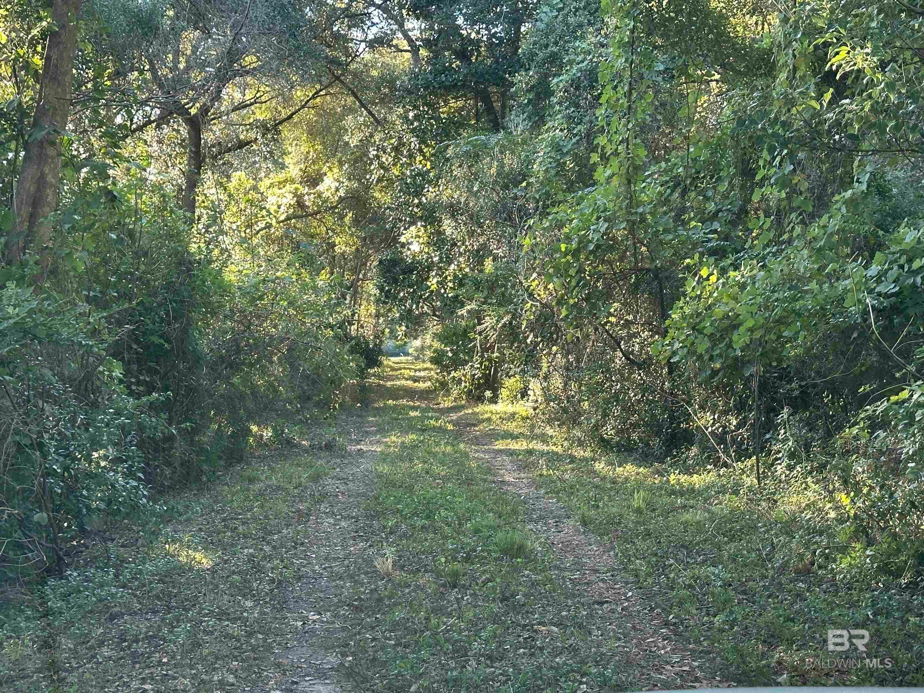 Foley, Alabama, 36535, United States, ,Land,For Sale,1992817