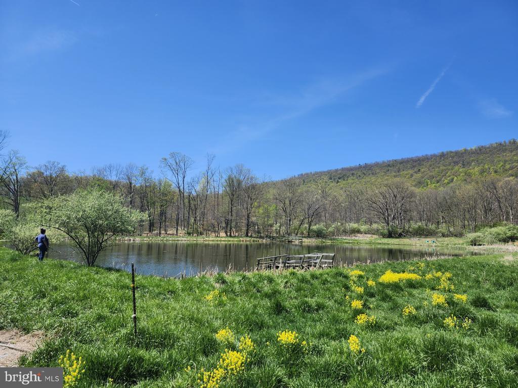 MAYSVILLE, West Virginia, 26833, United States, ,Residential,For Sale,1784747