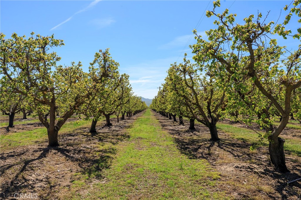 Patterson, California, 95360, United States, ,Residential,For Sale,1756473