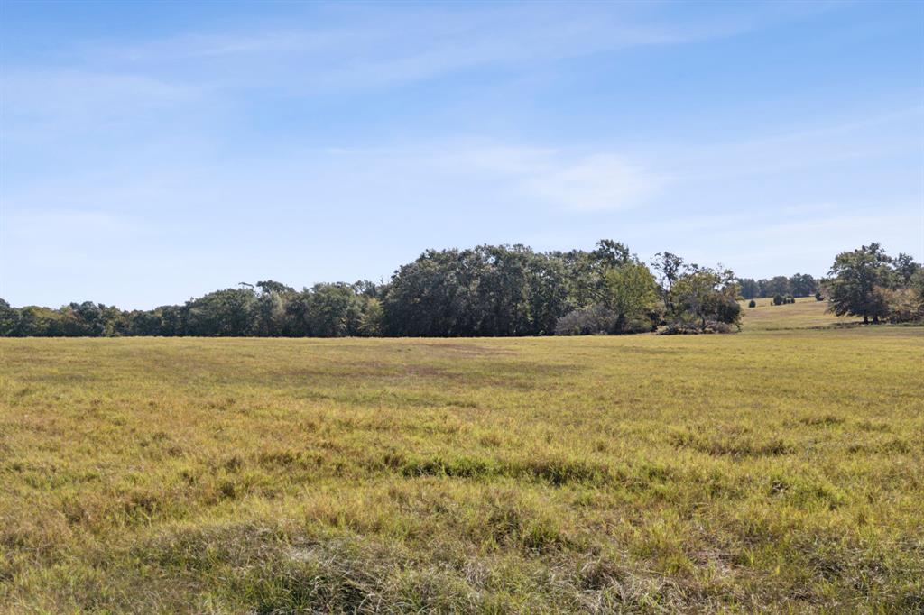 Canton, Texas, 75103, United States, 3 Bedrooms Bedrooms, ,2 BathroomsBathrooms,Residential,For Sale,1754039
