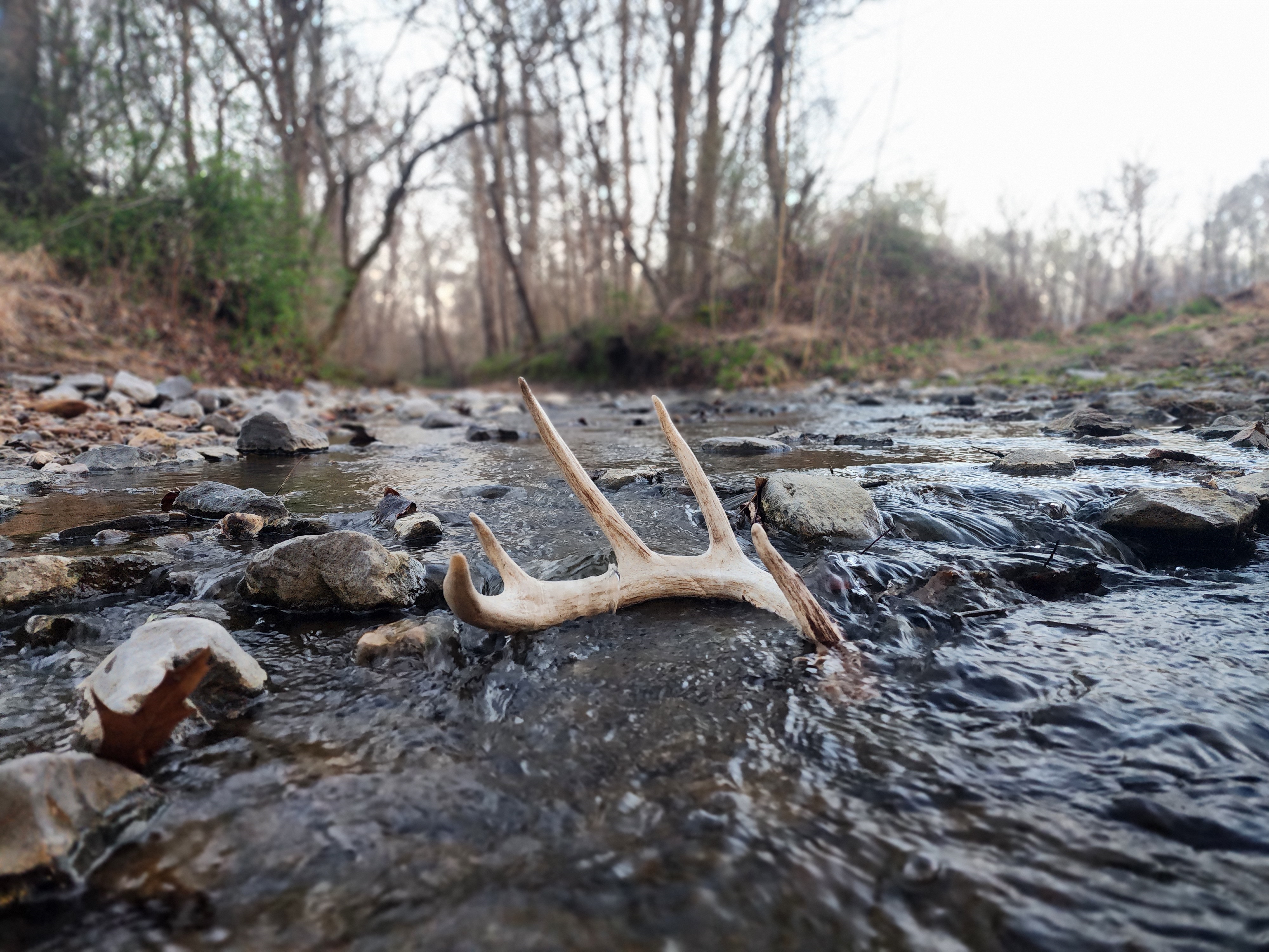 Union City, Tennessee, 38261, United States, ,Land,For Sale,1982811