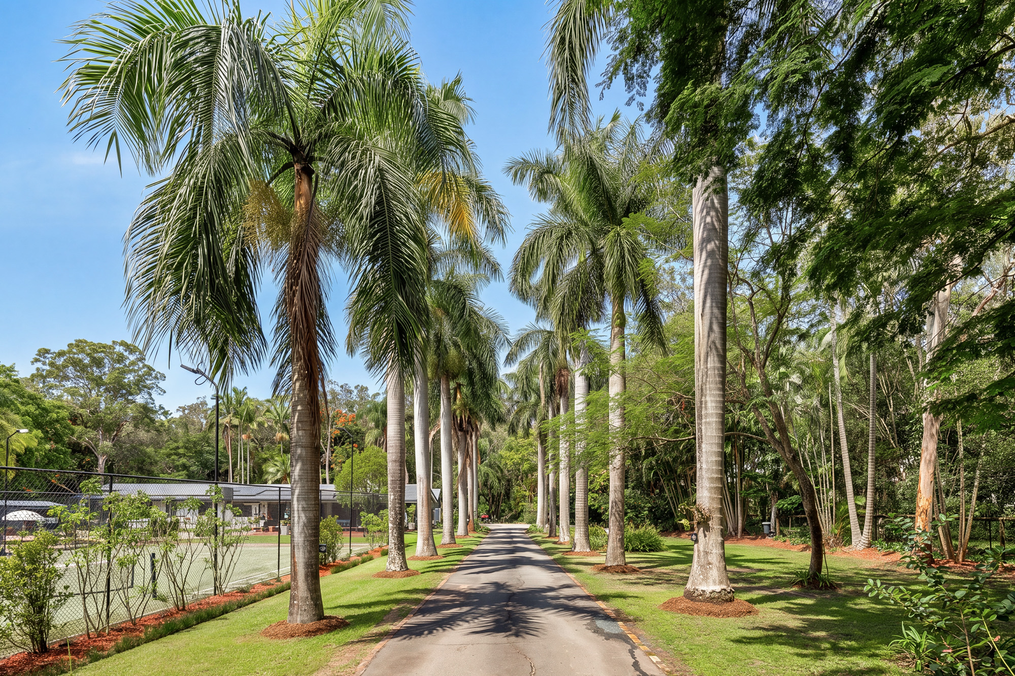 5-Acre Family Paradise, Steeped in Unsurpassed Peace and Privacy - 物件實景