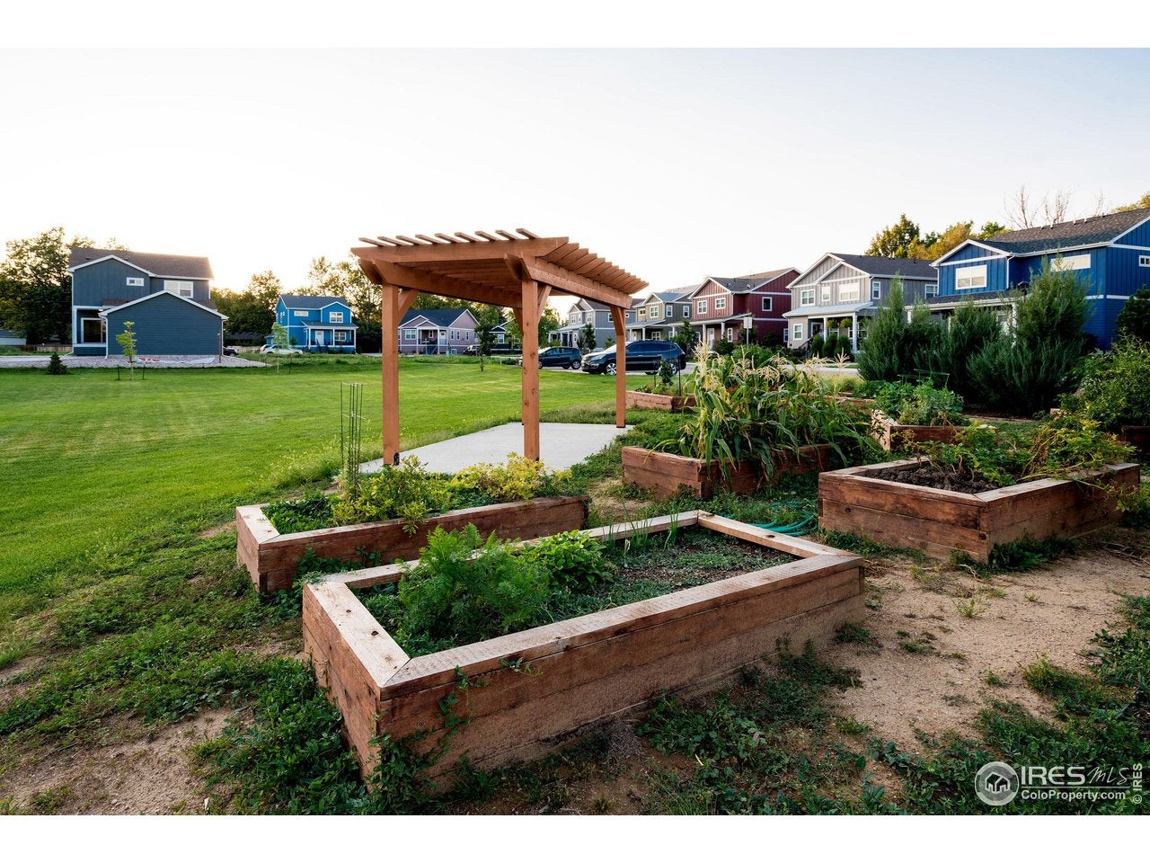 Loveland, Colorado, 80537, United States, 3 Bedrooms Bedrooms, ,3 BathroomsBathrooms,Residential,For Sale,1959899