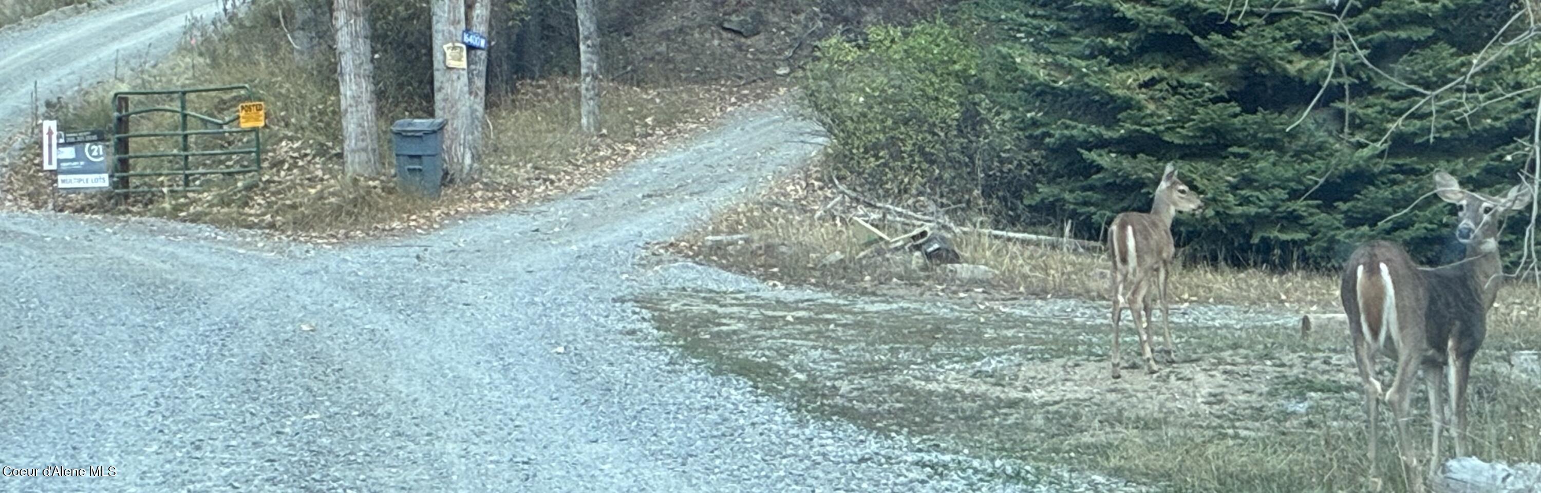 Hauser, Idaho, 83854, United States, ,Land,For Sale,1978090