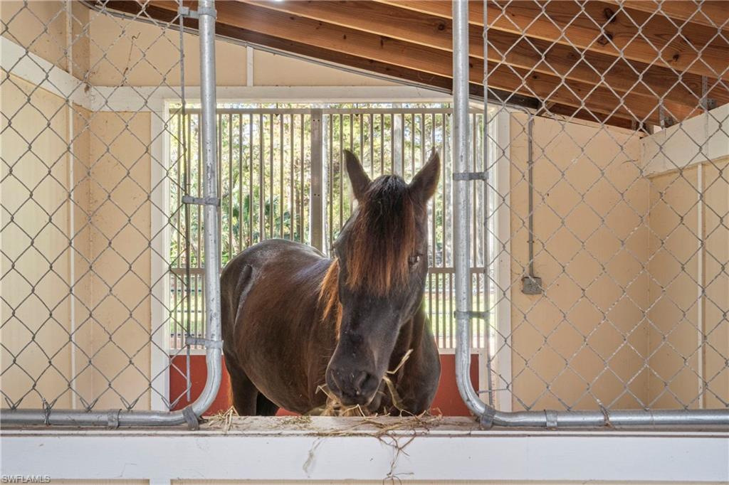 Naples, Florida, 34116, United States, 6 Bedrooms Bedrooms, ,9 BathroomsBathrooms,Residential,For Sale,2000525