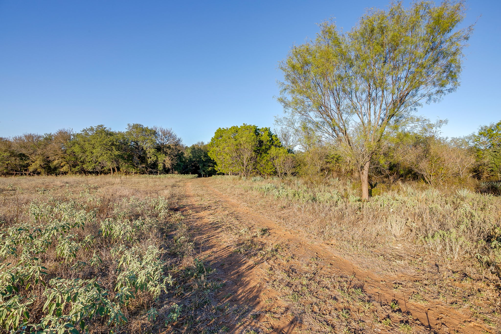  Lot 39 River Canyon, Mineral Wells, TX, 76484 - 物件實景