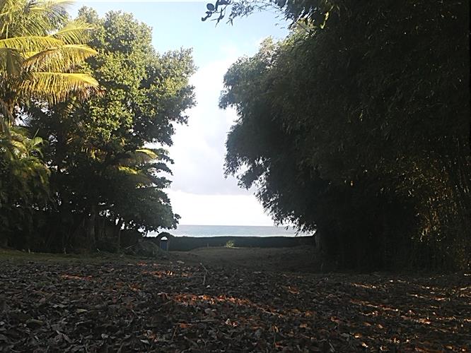 Sosua, DO, ,Land,For Sale,1164552