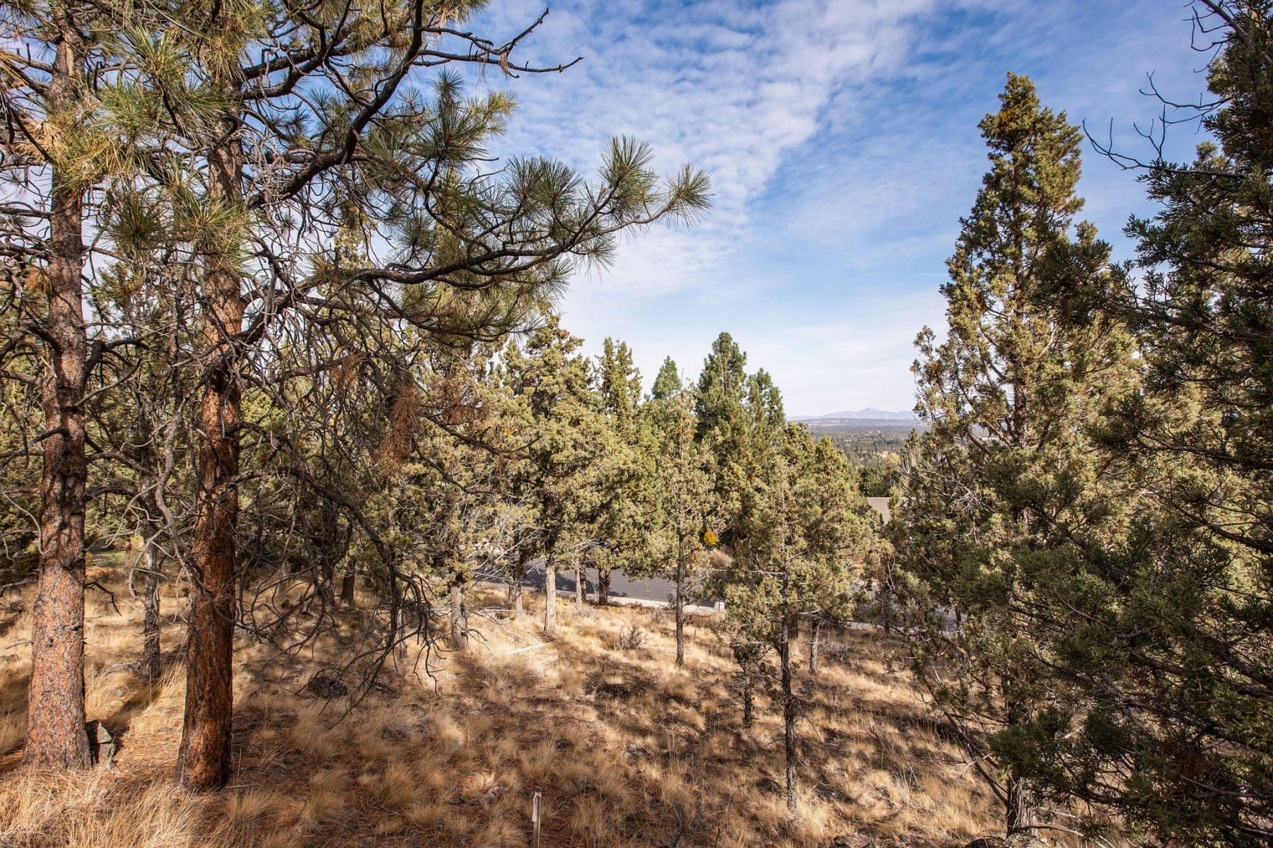  1327 NW Constellation Drive Bend, OR 97703 - 物件實景
