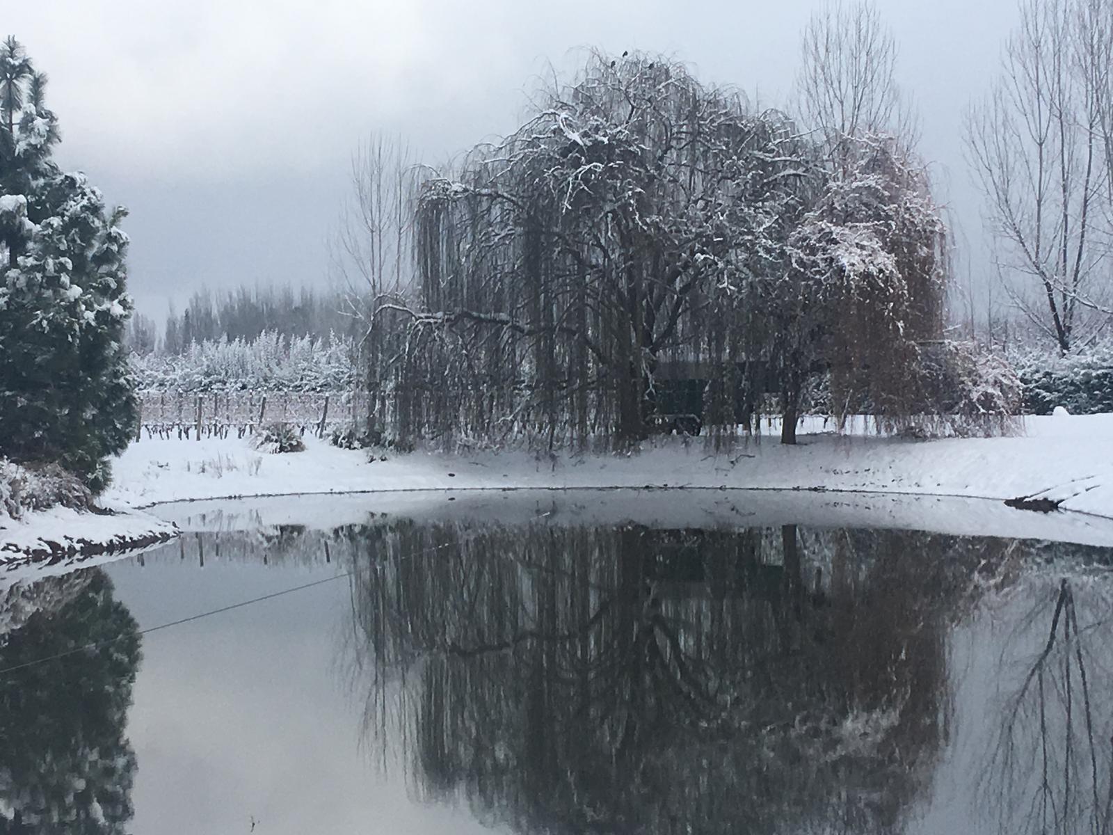 Lujan De Cuyo, AR-M, AR, 5 Bedrooms Bedrooms, ,8 BathroomsBathrooms,Residential,For Sale,1999071