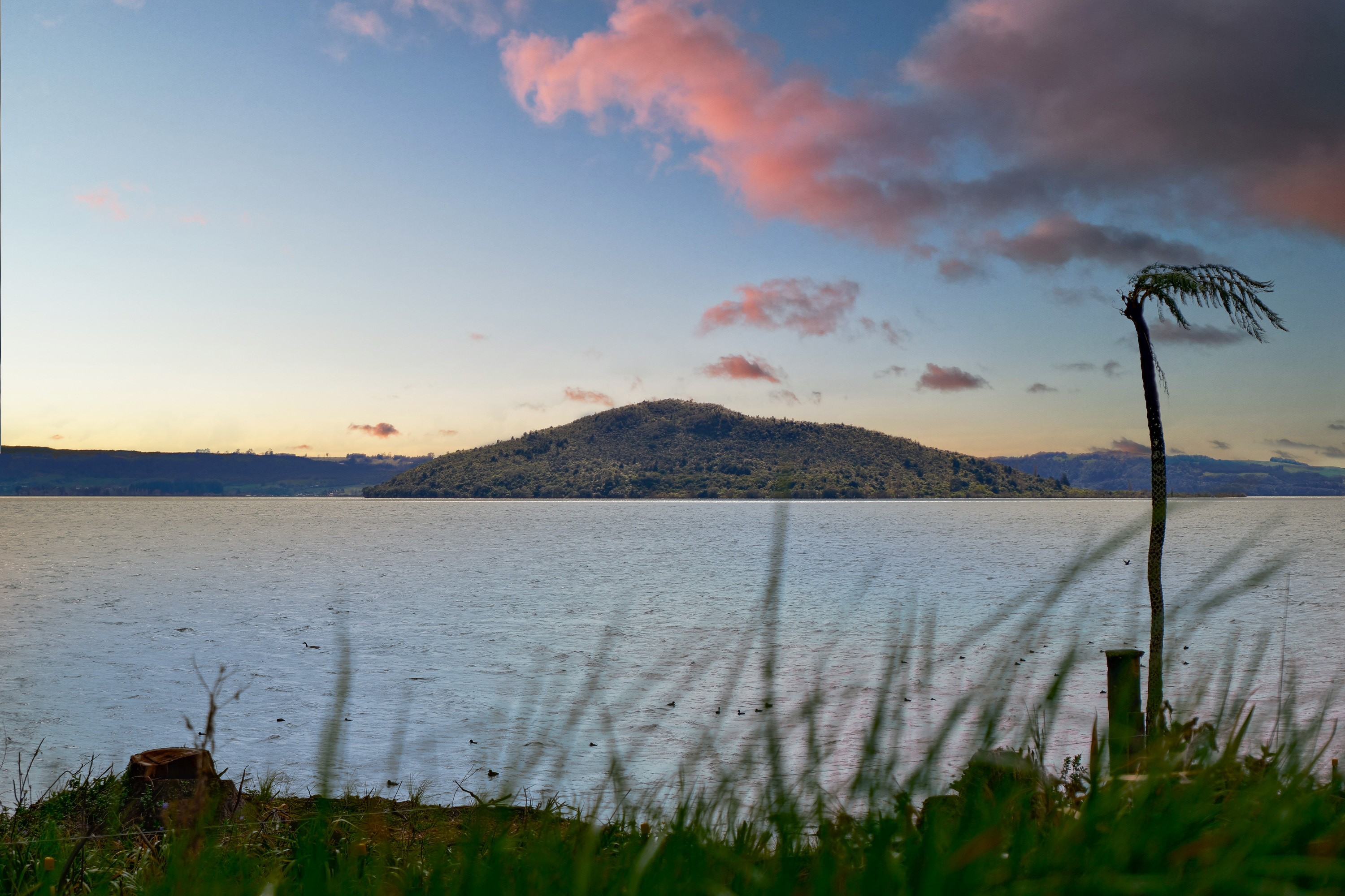  Lakefront Living at Hinemoa Point - 物件實景