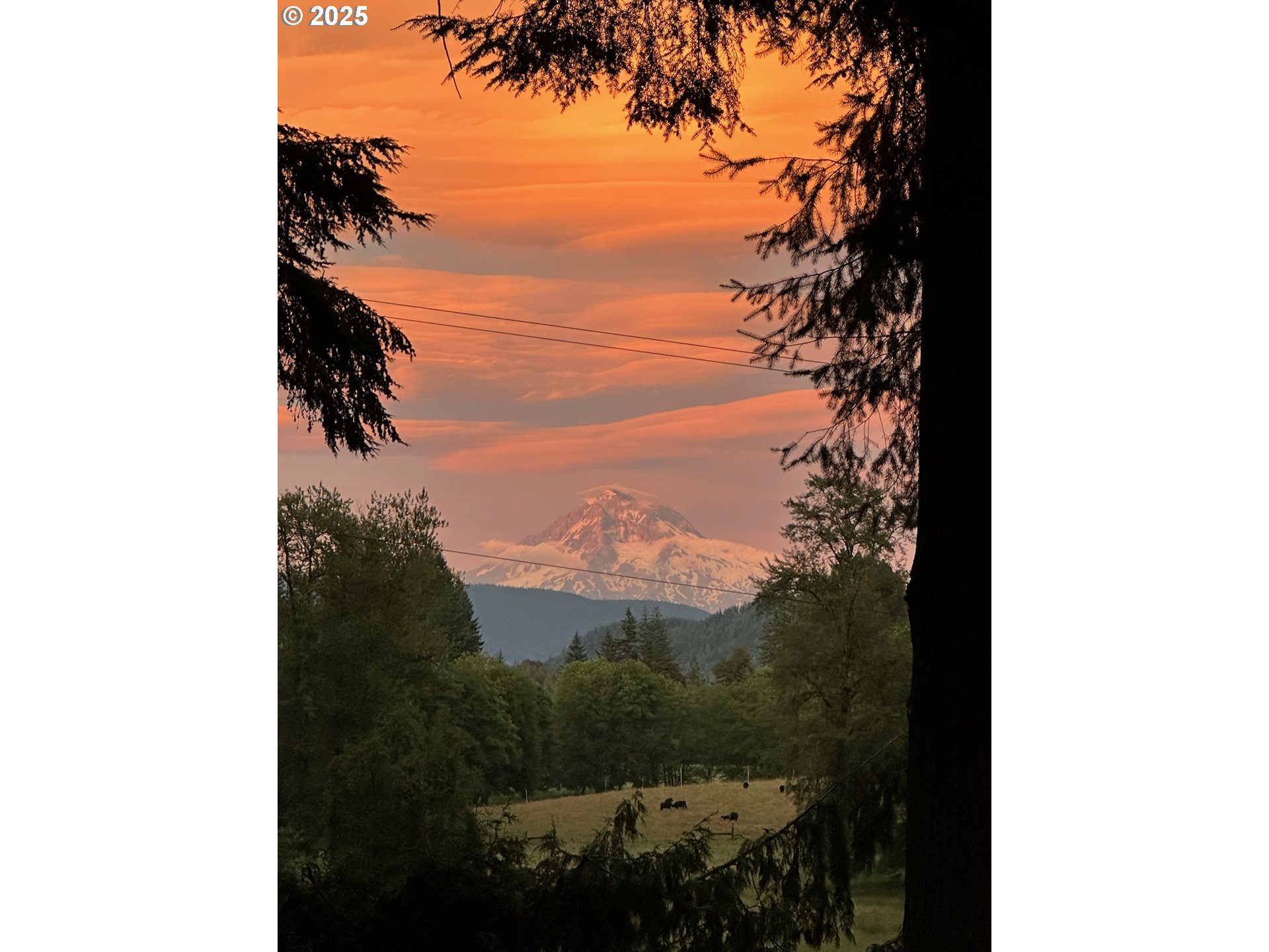 Sandy, Oregon, 97055, United States, 4 Bedrooms Bedrooms, ,3 BathroomsBathrooms,Residential,For Sale,1937237