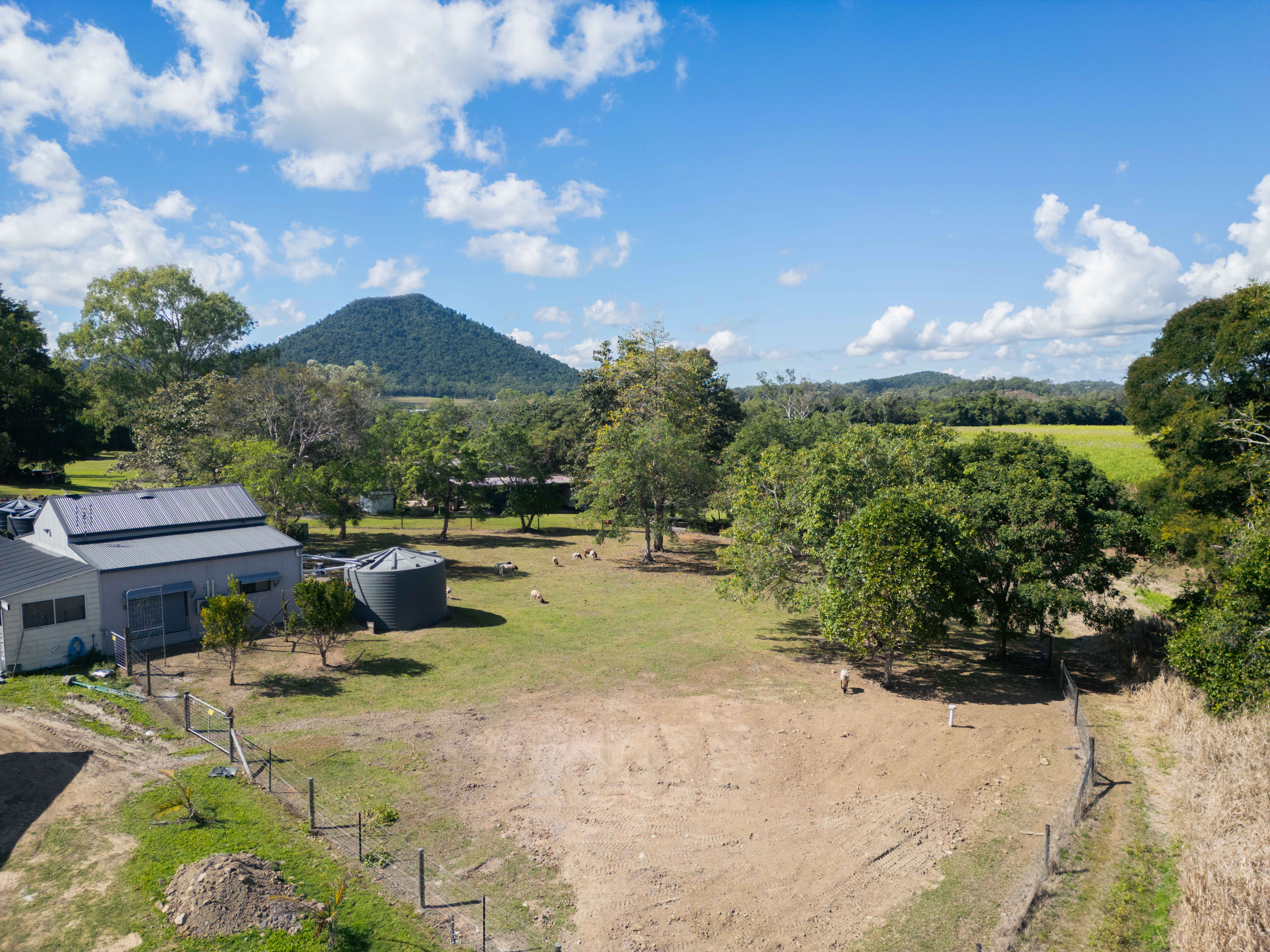  77A Windemere Drive, Strathdickie - 物件實景