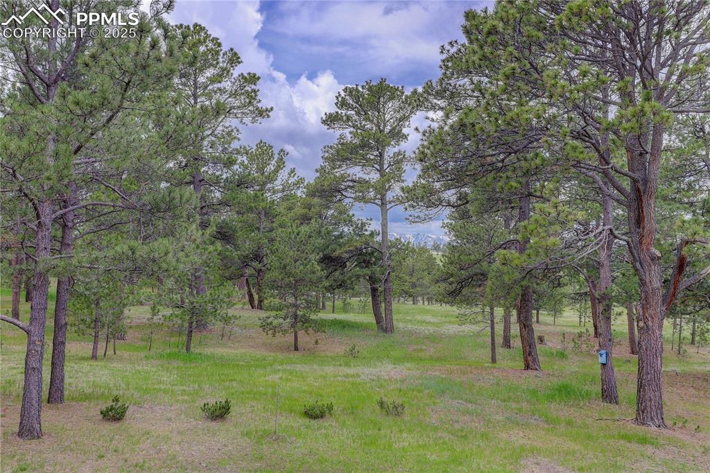 Colorado Springs, Colorado, 80908, United States, 3 Bedrooms Bedrooms, ,1 BathroomBathrooms,Residential,For Sale,1836722