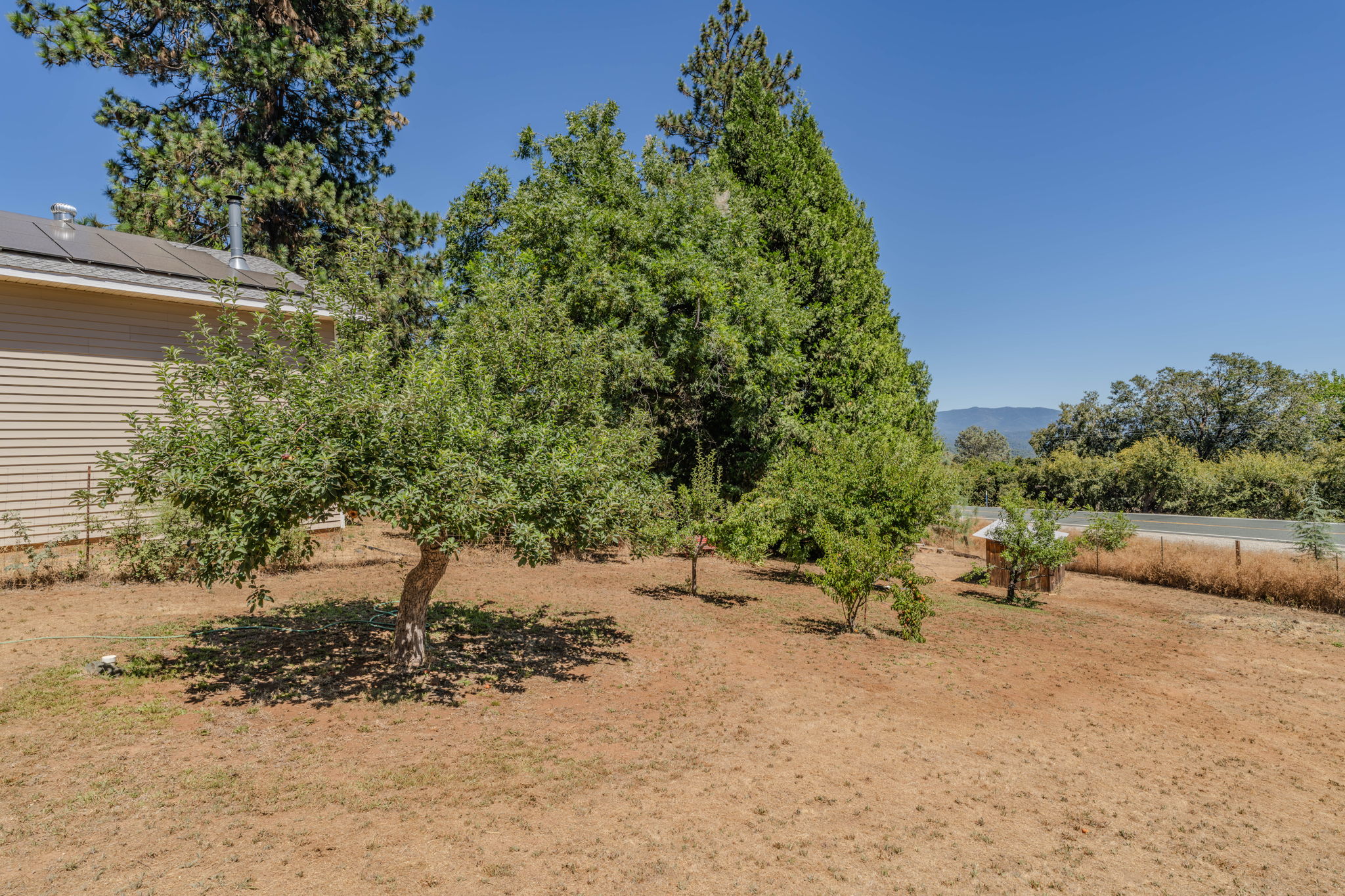  Panoramic Blue Mountain Views on One Usable Acre - 物件實景