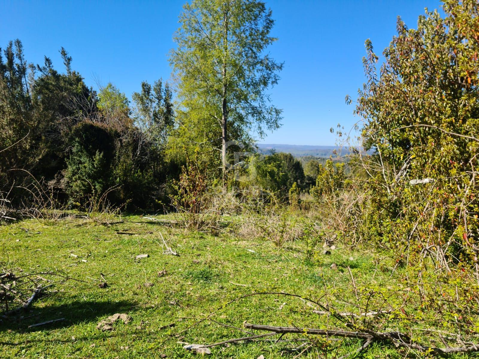 Fresia, Chile, ,Residential,For Sale,1913252