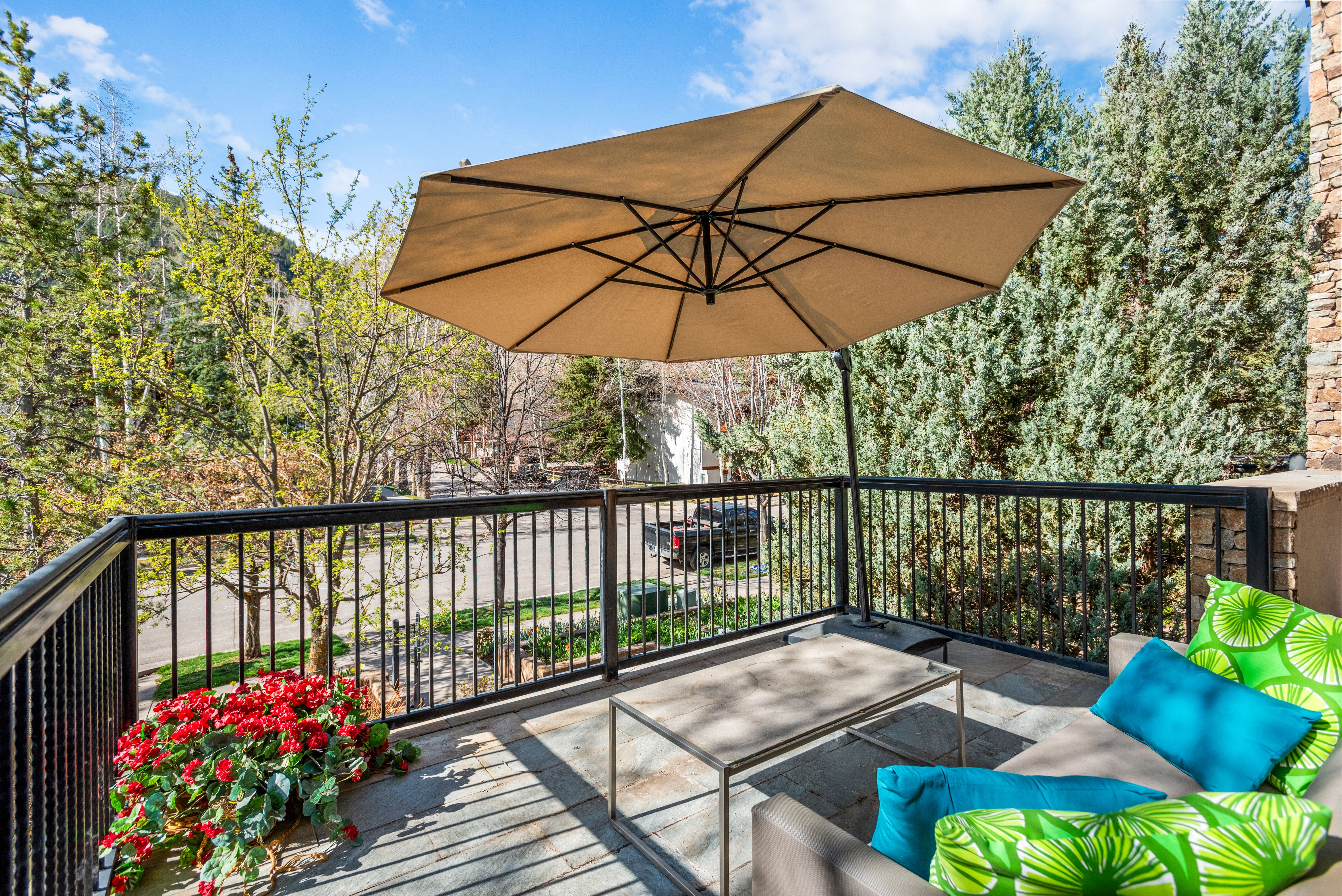  990 E Hopkins Avenue, Aspen, CO, 81611 - 物件實景
