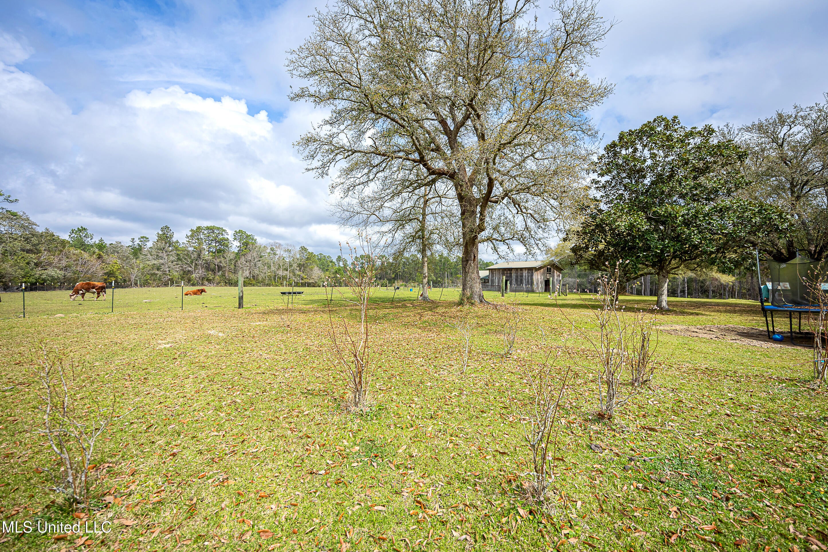 Vancleave, Mississippi, 39565, United States, 4 Bedrooms Bedrooms, ,2 BathroomsBathrooms,Residential,For Sale,1927401