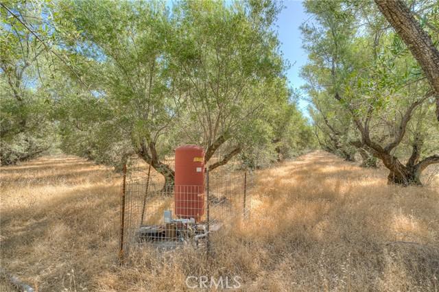 Oroville, California, 95965, United States, ,Land,For Sale,1981865