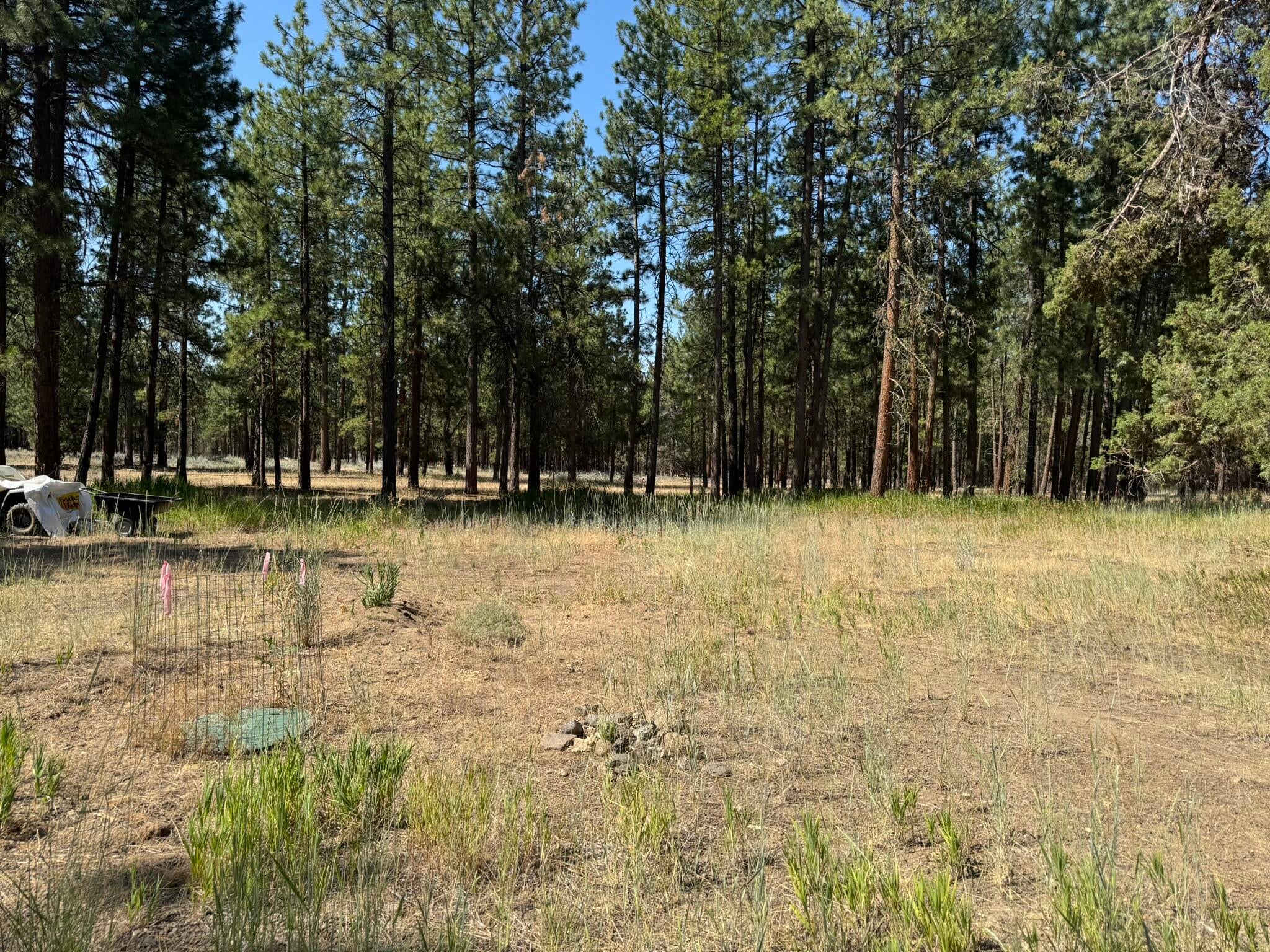 Bonanza, Oregon, 97623, United States, 3 Bedrooms Bedrooms, ,2 BathroomsBathrooms,Residential,For Sale,1903275