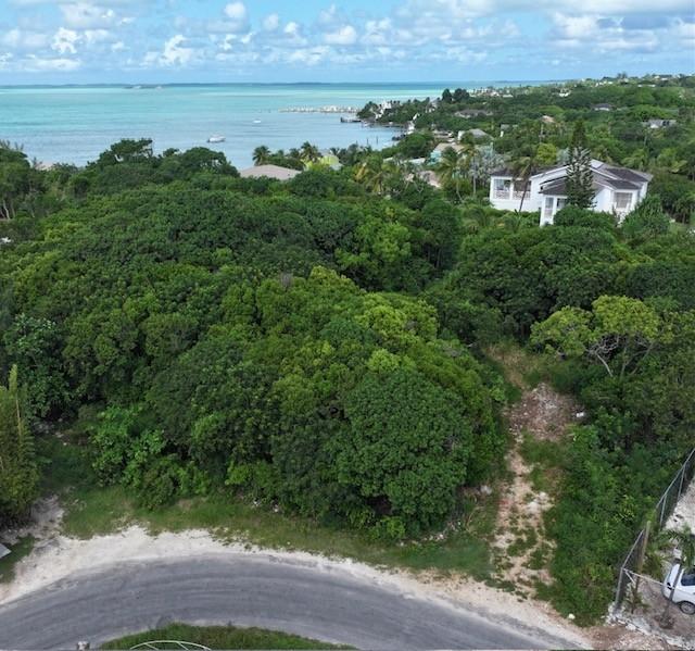 Triana Shores, Harbour Island, Harbour Island, BS, ,Land,For Sale,1998936