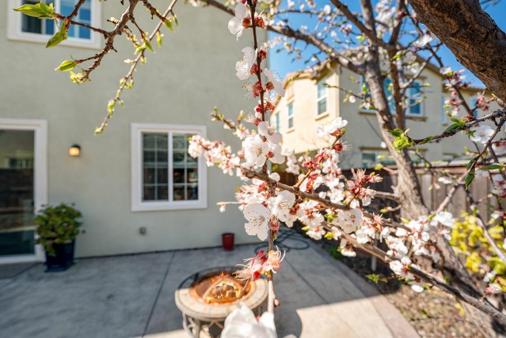 Woodland, California, 95776, United States, 4 Bedrooms Bedrooms, ,3 BathroomsBathrooms,Residential,For Sale,1939762