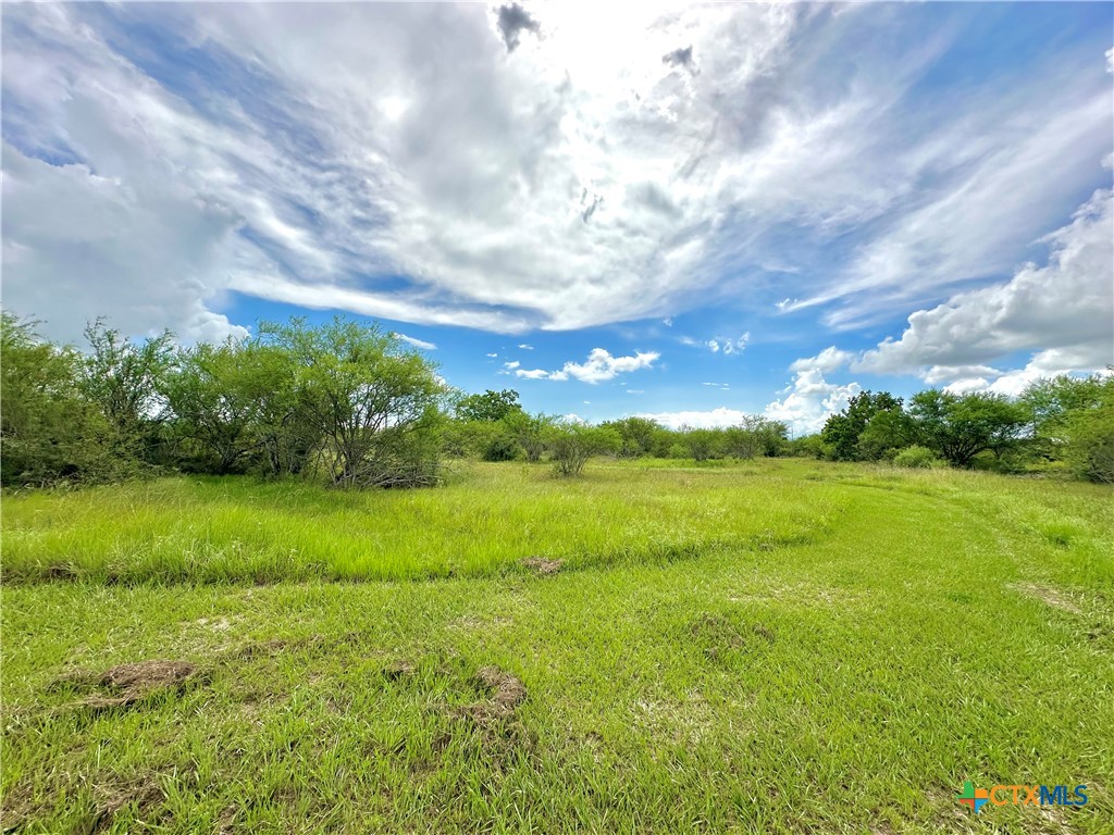Nursery, Texas, 77976, United States, ,Land,For Sale,1885536