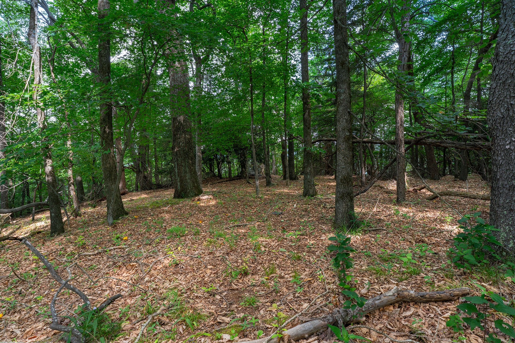  THE ORCHARDS OF MAYVIEW - BLOWING ROCK - 物件實景