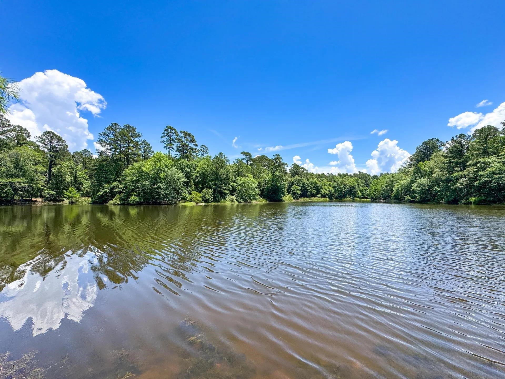Douglassville, Texas, 75560, United States, ,Land,For Sale,2048006