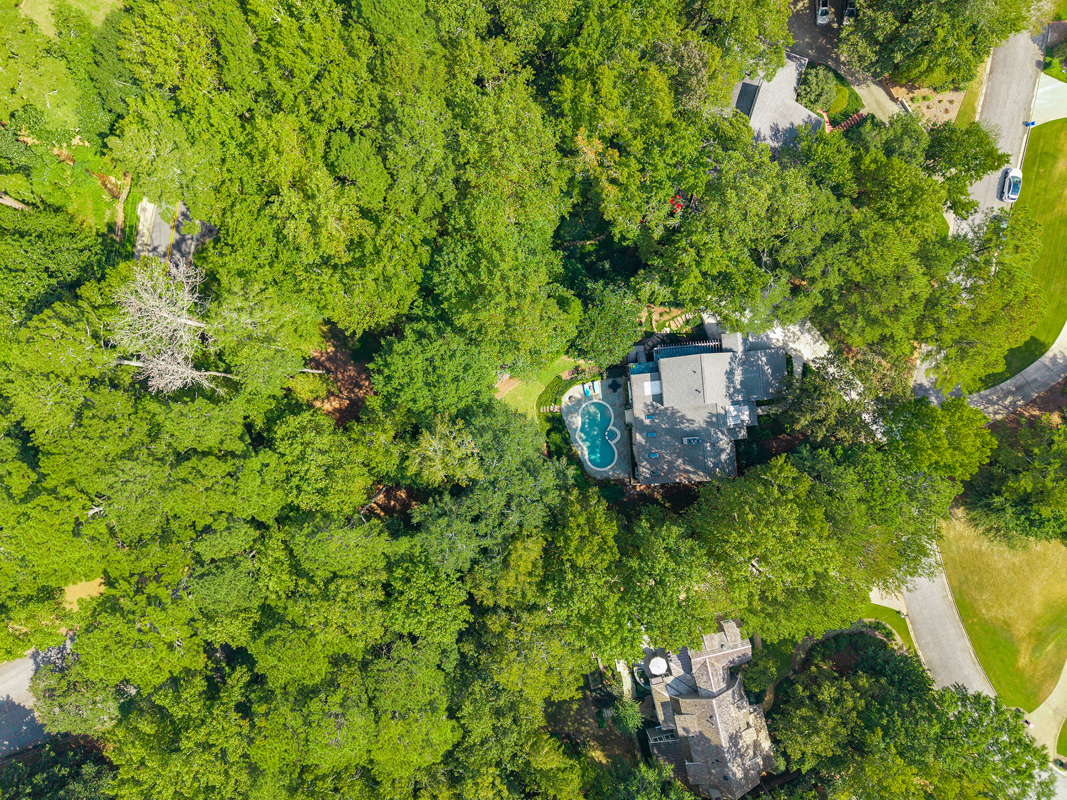  Expanded and Renovated Contemporary Vinings Home - 物件實景