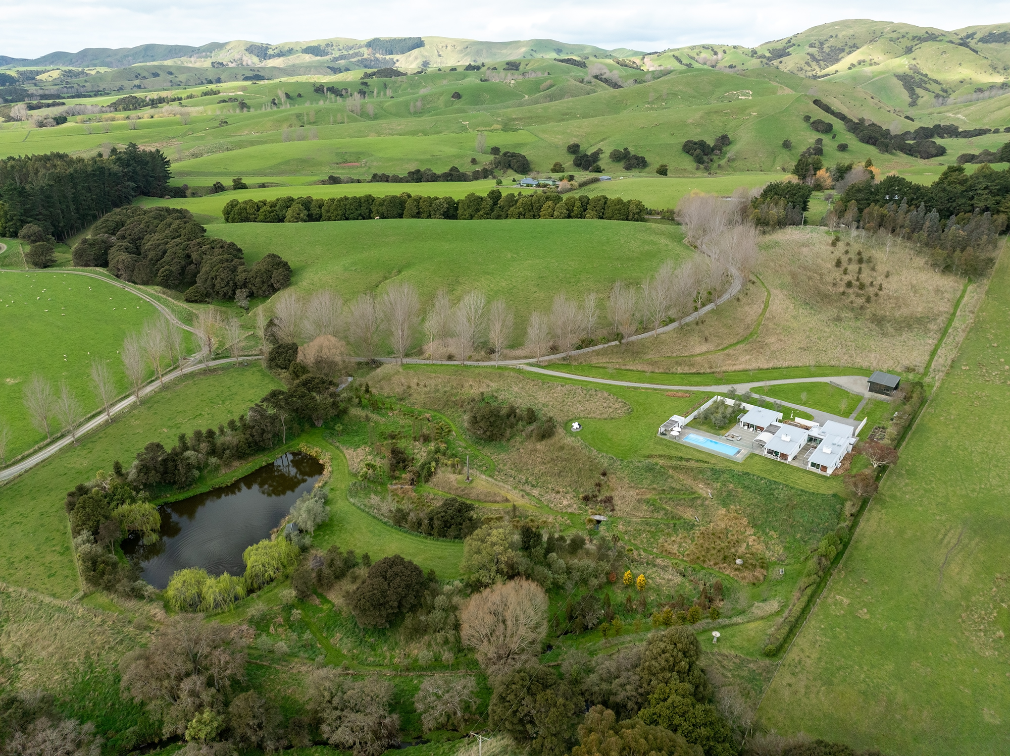  Martinborough Dream Lifestyle Property - 物件實景
