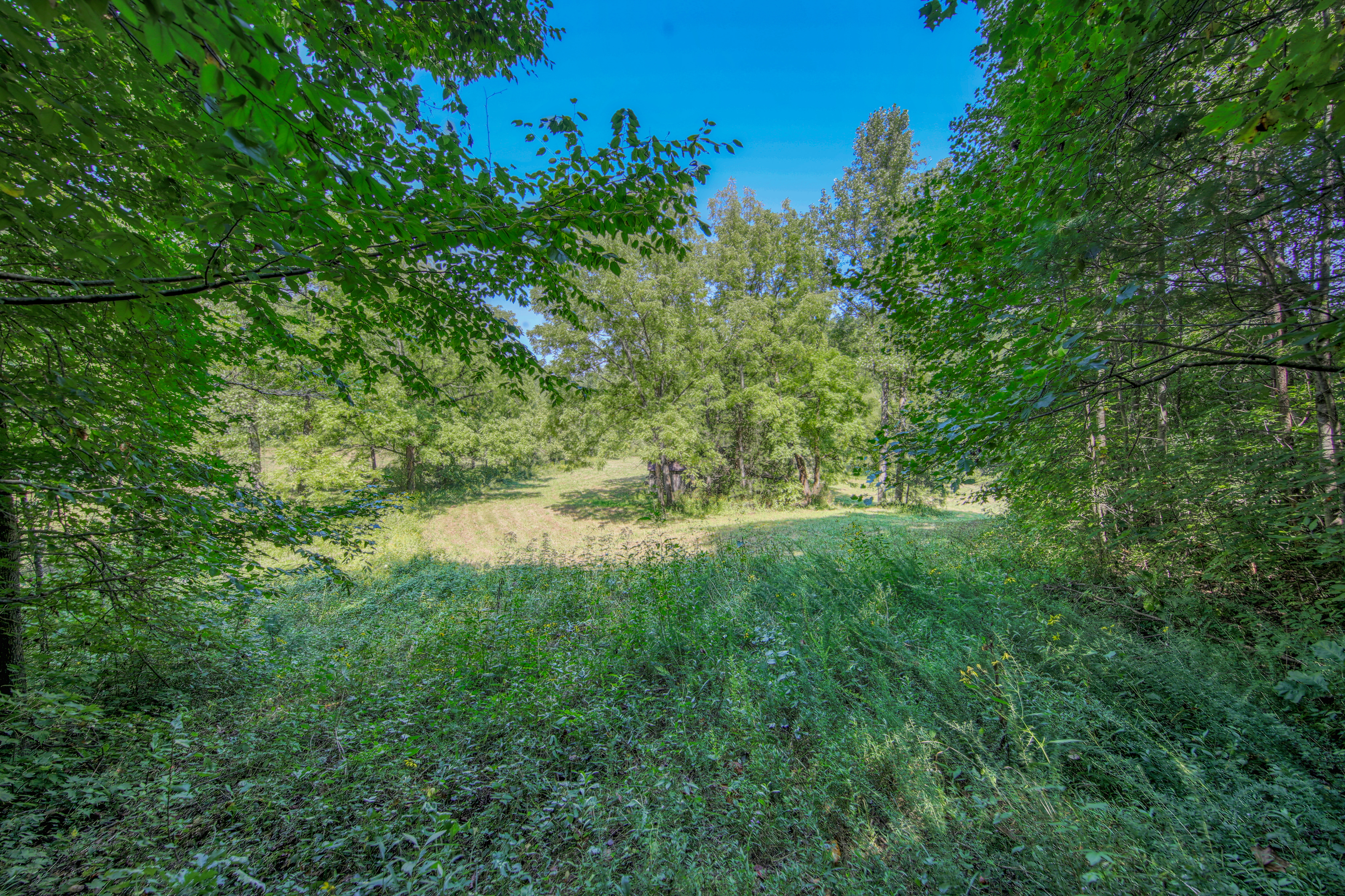  Belcher Loop, Tellico Plains, TN 37385 - 物件實景