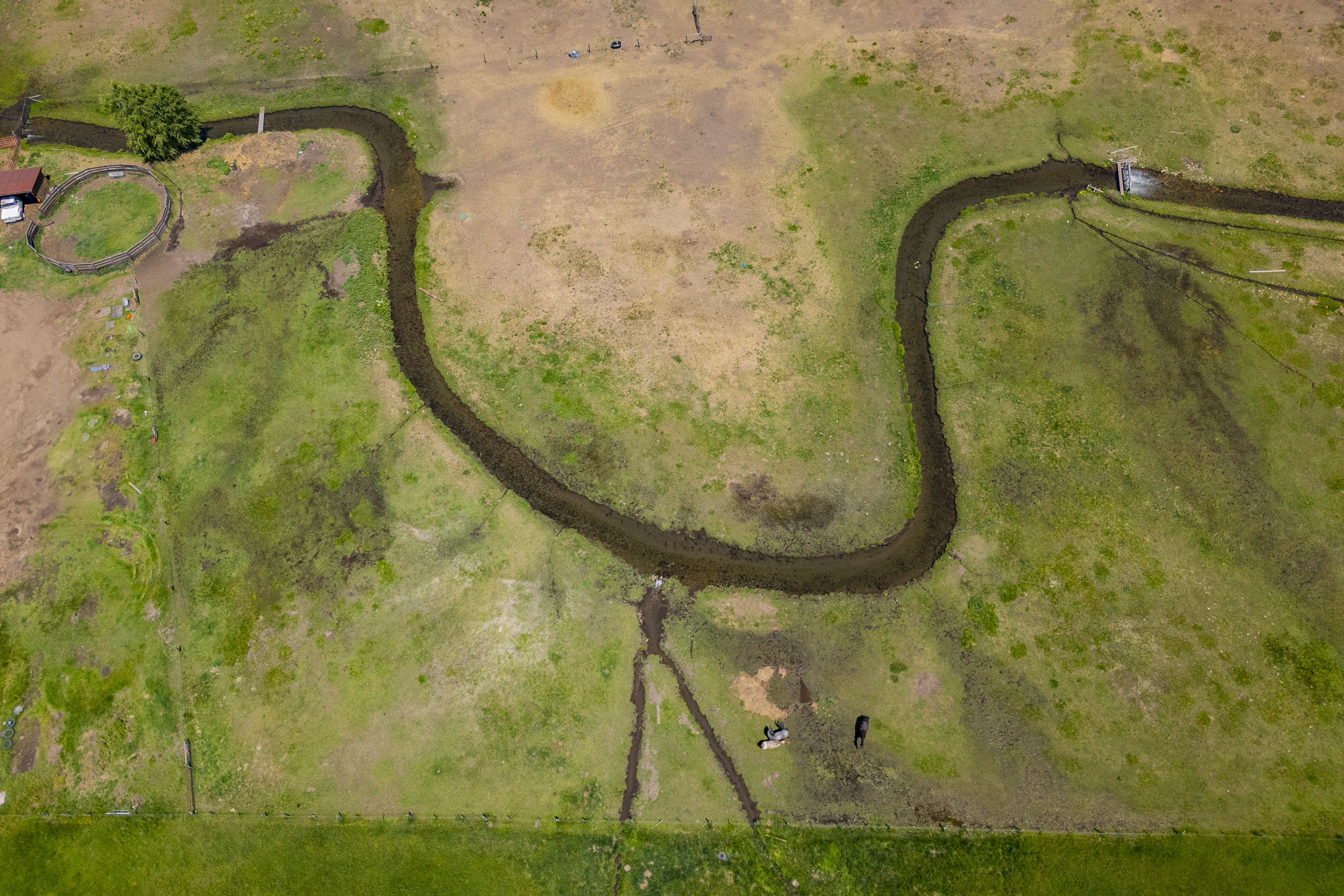  Your Colorado Dream 35 Scenic Acres with Mountain Views - 物件實景