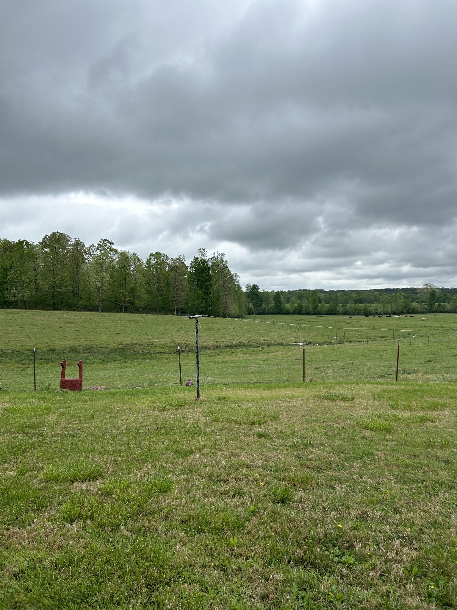 Iron City, Tennessee, 38463, United States, 4 Bedrooms Bedrooms, ,3 BathroomsBathrooms,Residential,For Sale,1737855
