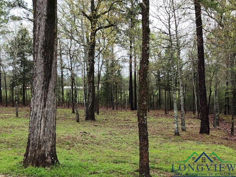 15082 Wisteria Rd., Ore City, Texas, 75683, United States, 2 Bedrooms Bedrooms, ,2 BathroomsBathrooms,Residential,For Sale,15082 Wisteria Rd.,1613063