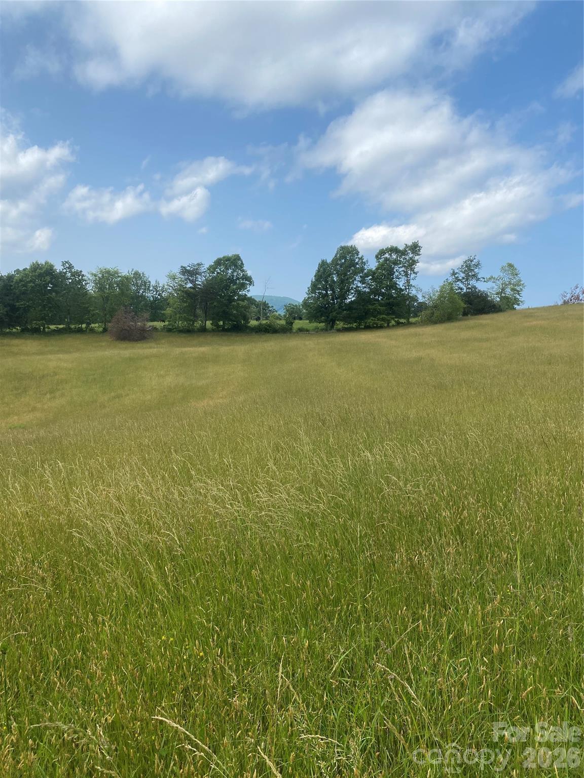 Hendersonville, North Carolina, 28792, United States, ,Land,For Sale,2010421