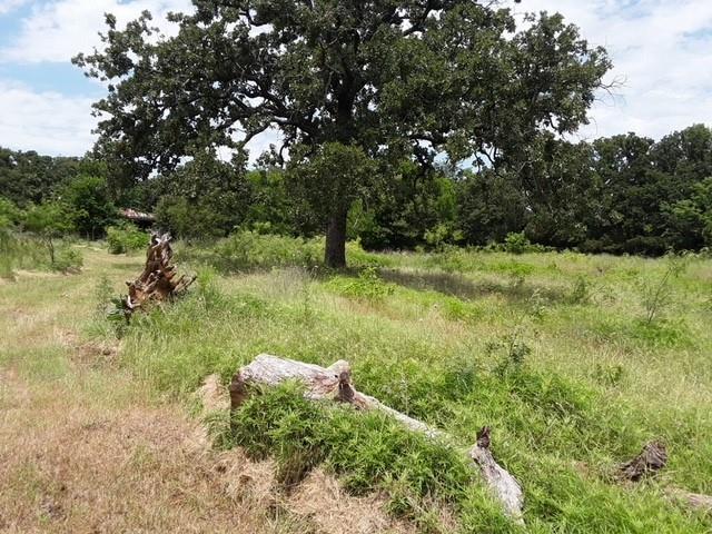 Mansfield, Texas, 76063, United States, 4 Bedrooms Bedrooms, ,2 BathroomsBathrooms,Residential,For Sale,1951399