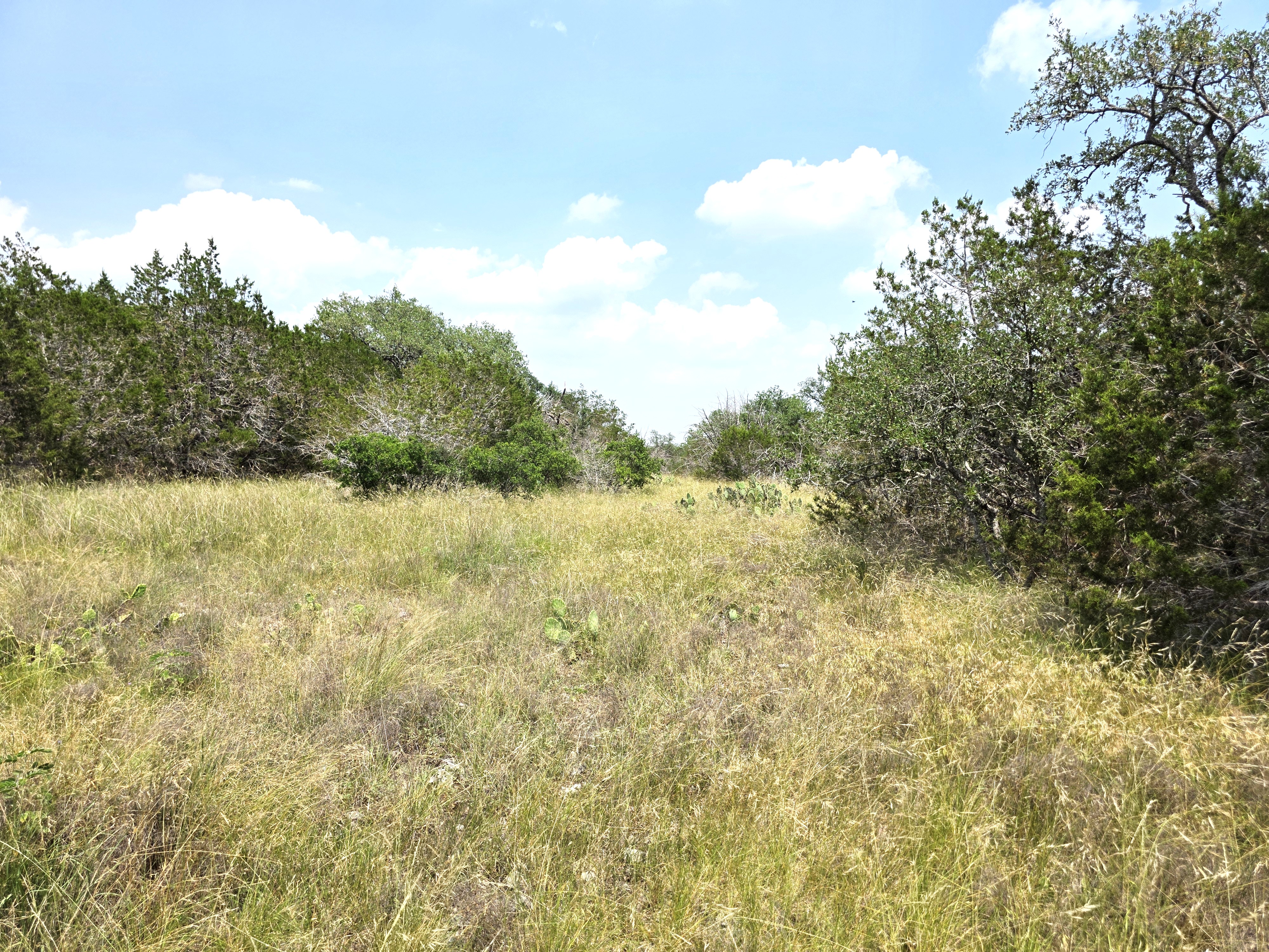 San Marcos, Texas, 78666, United States, ,Land,For Sale,1976108