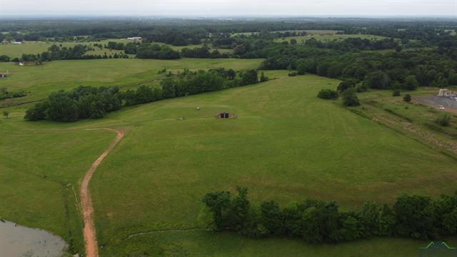 Henderson, Texas, 75654, United States, ,Land,For Sale,1865507