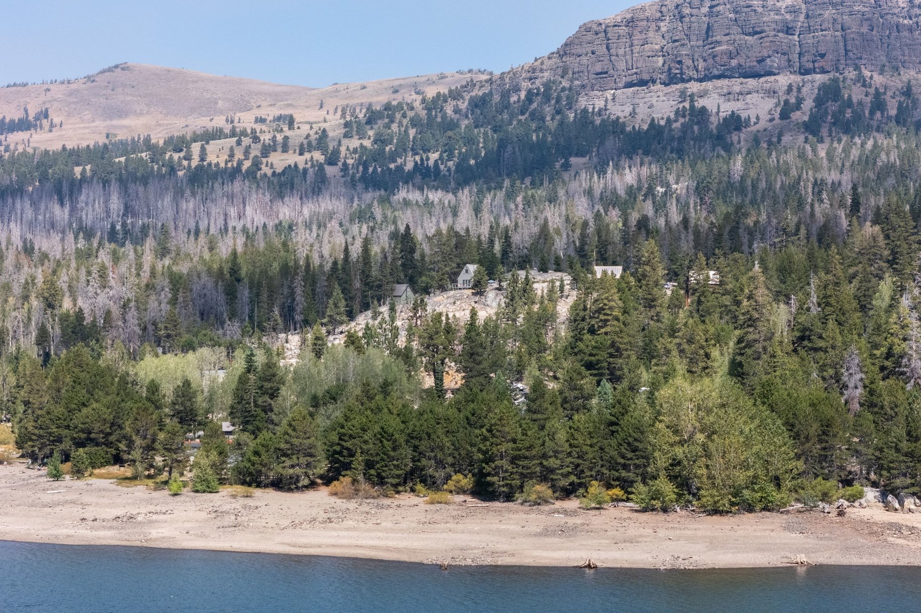  The Juniper Cabin: A Wild Invitation to See the World Differently - 物件實景