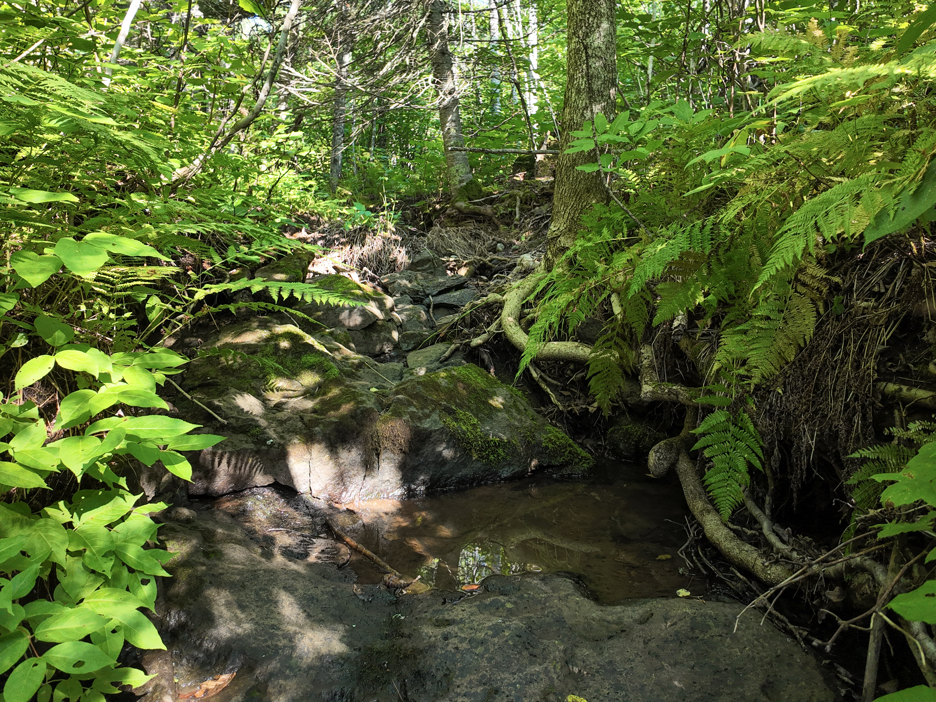  A Rare North Shore Homesite Near Grand Marais - 物件實景