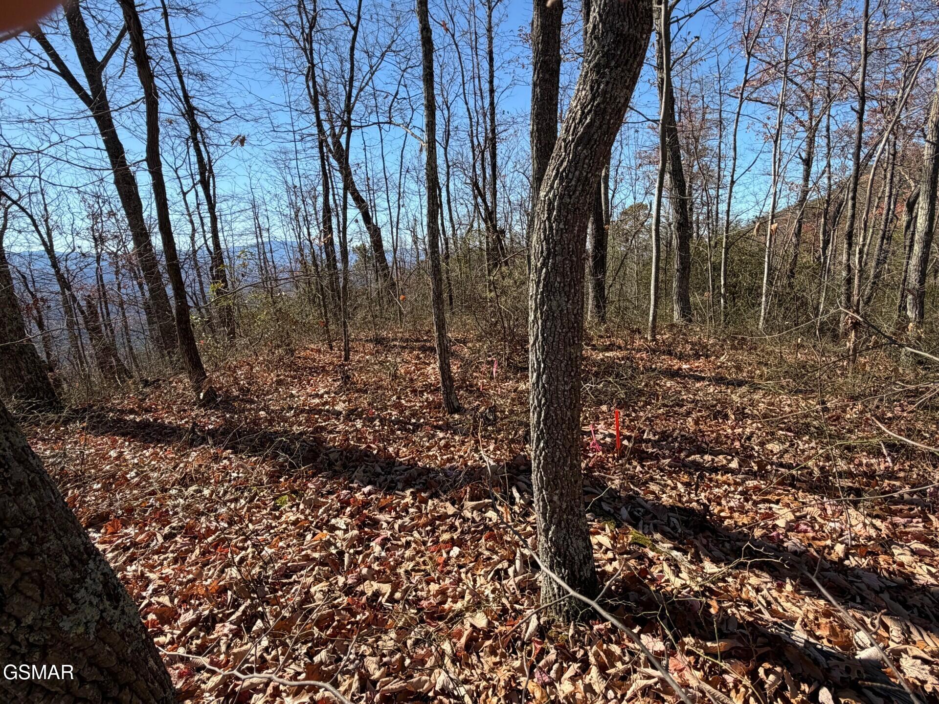 Sevierville, Tennessee, 37876, United States, ,Land,For Sale,2009102