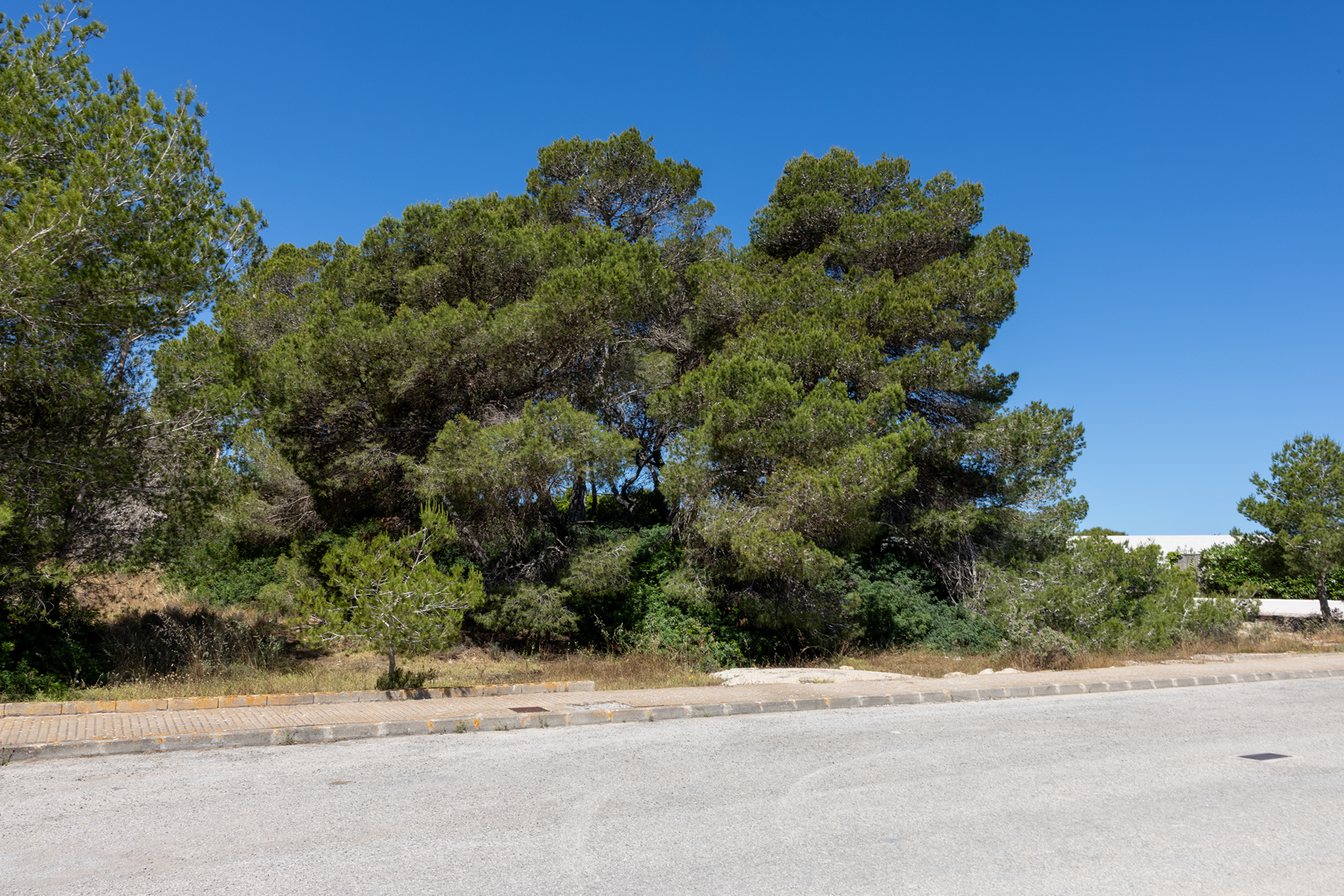  Urban plot in Ibiza for socio-cultural project - 物件實景