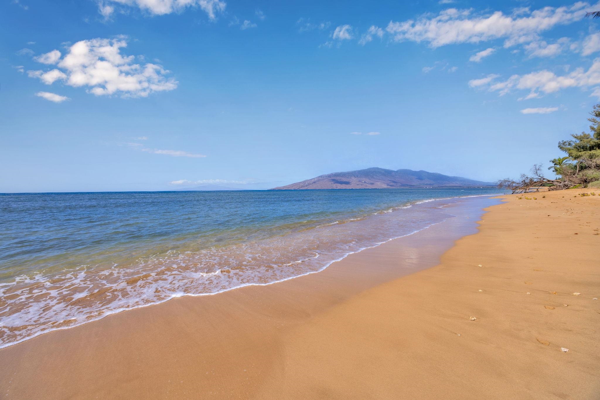 Kihei, Hawaii, 96753, United States, 2 Bedrooms Bedrooms, ,2 BathroomsBathrooms,Residential,For Sale,1991757