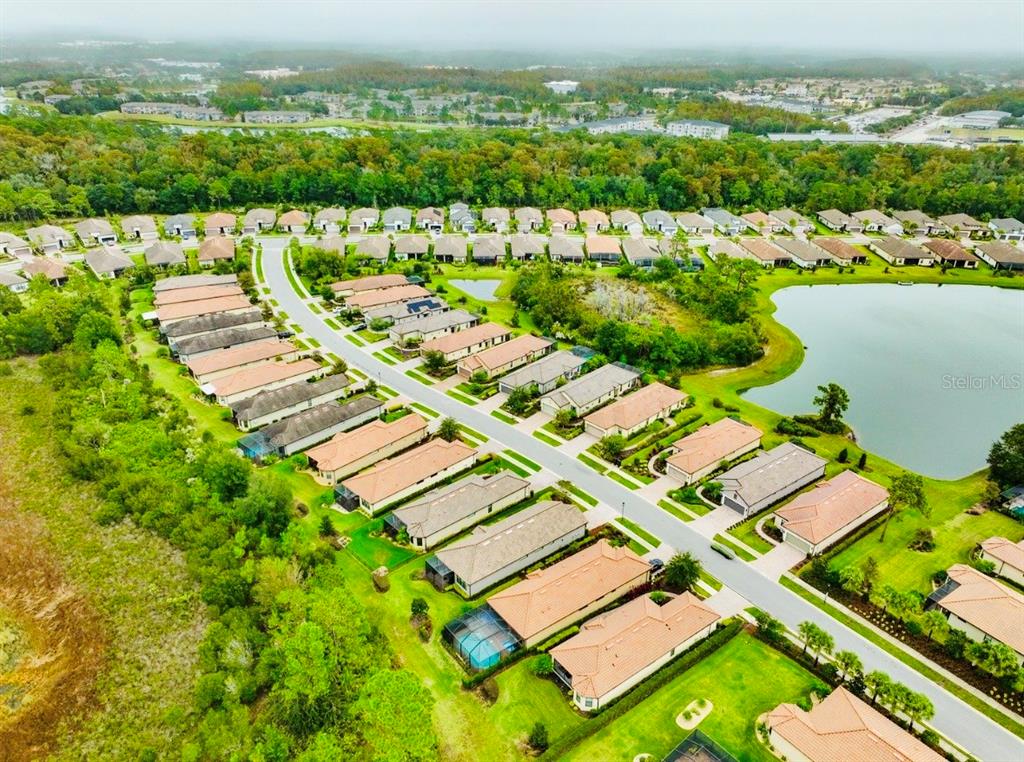 Tampa, Florida, 33647, United States, 3 Bedrooms Bedrooms, ,2 BathroomsBathrooms,Residential,For Sale,2000838