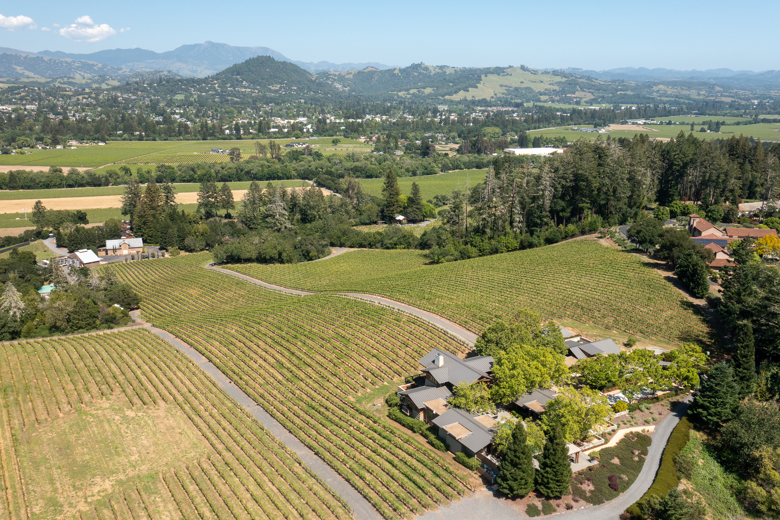  Healdsburg Architectural Estate - 物件實景
