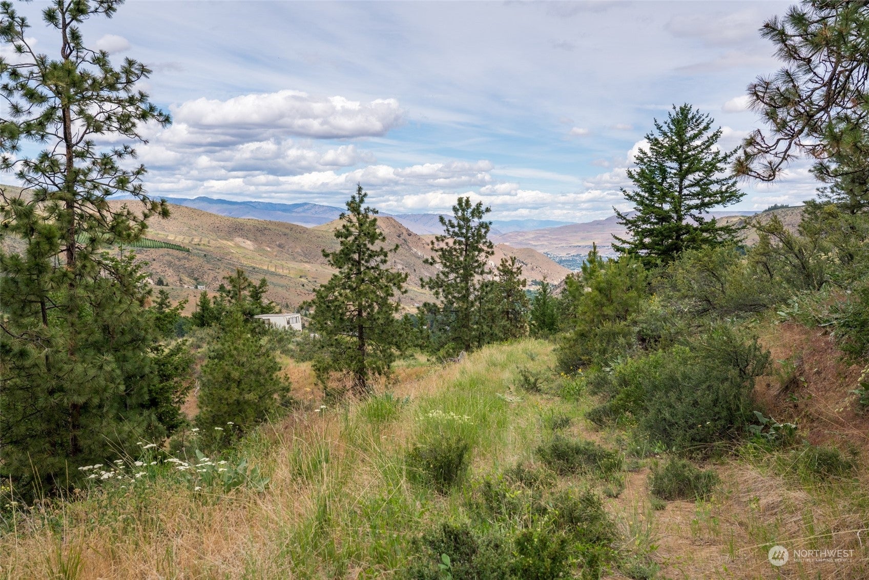 Wenatchee, Washington, 98801, United States, ,Land,For Sale,1690373
