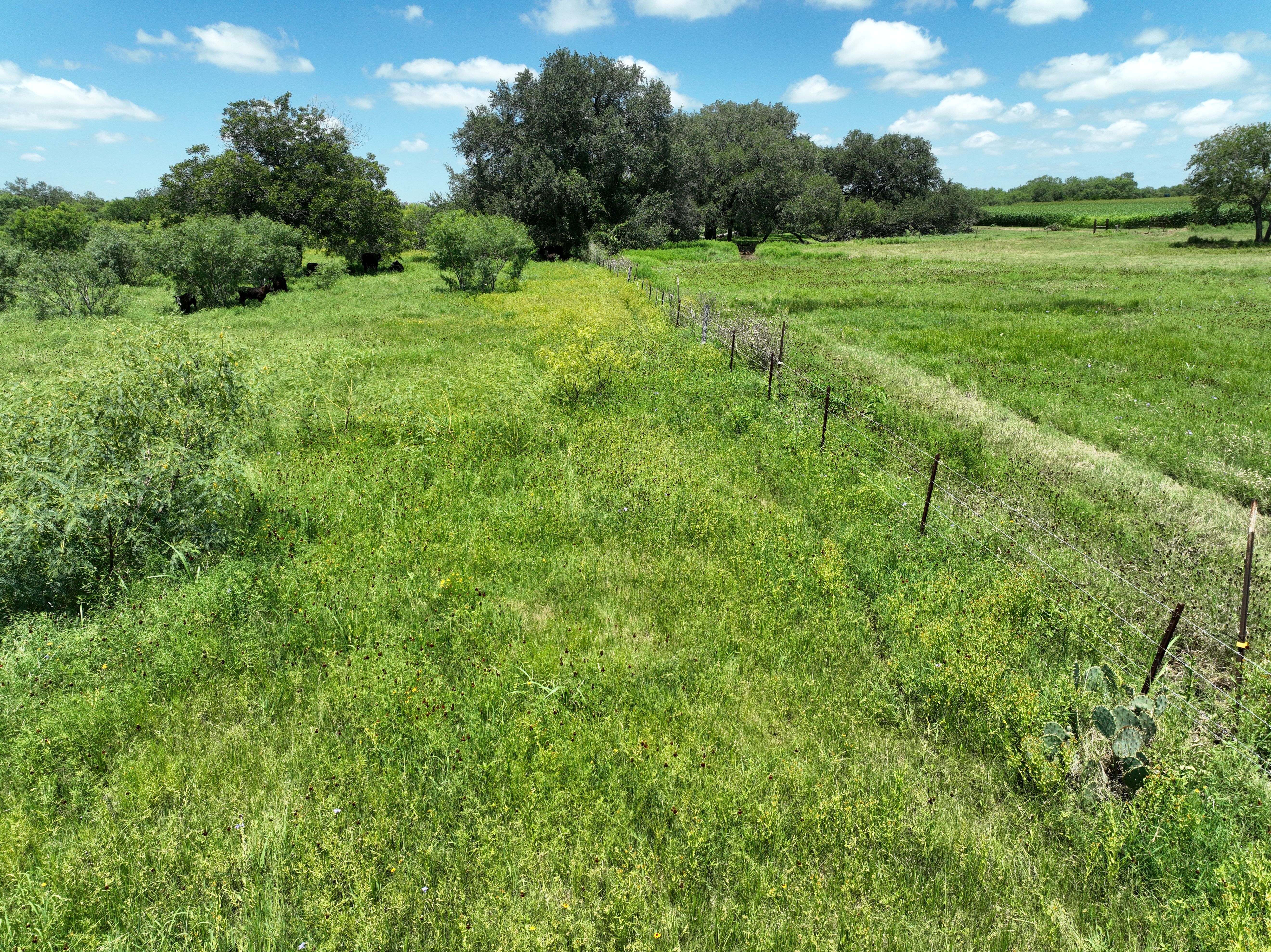  87.69+/- Acres in Bexar County - 物件實景