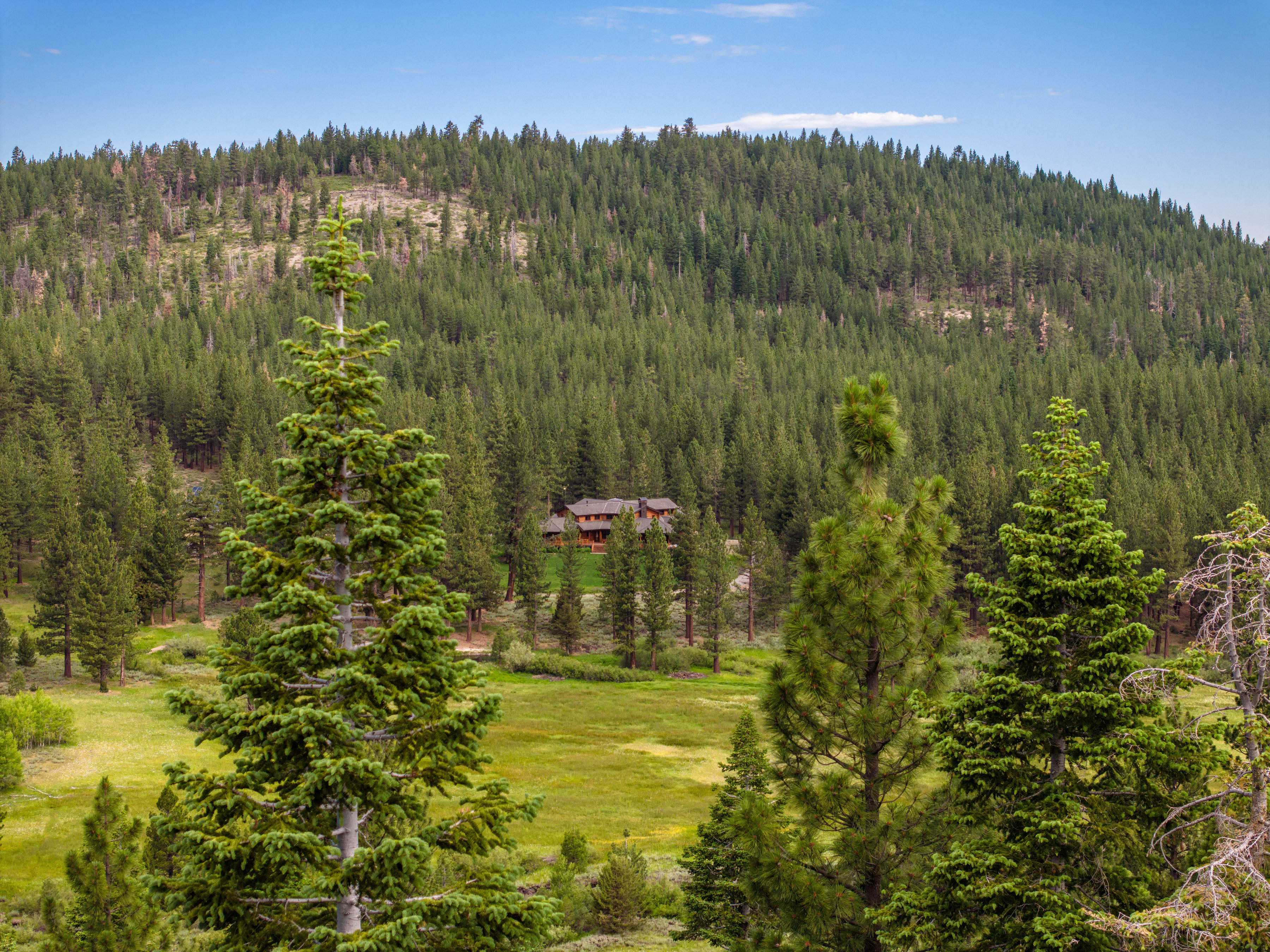 High Meadow Ranch Lodge - 物件實景