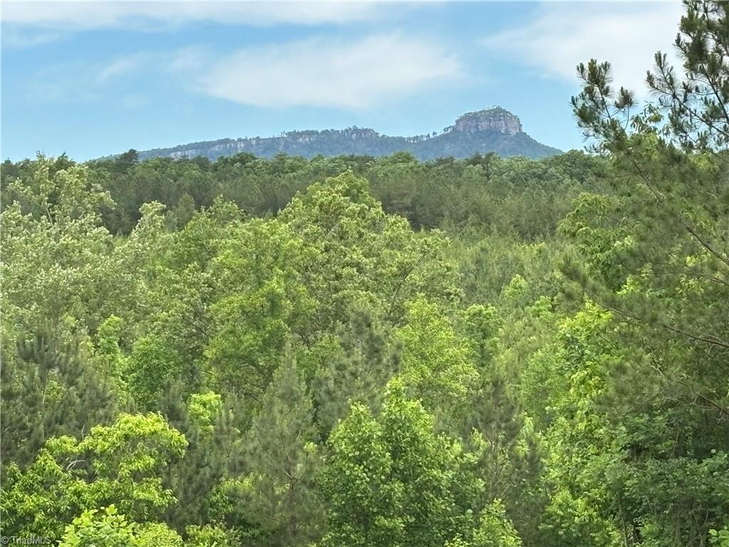 Pinnacle, North Carolina, 27043, United States, ,Land,For Sale,1829534