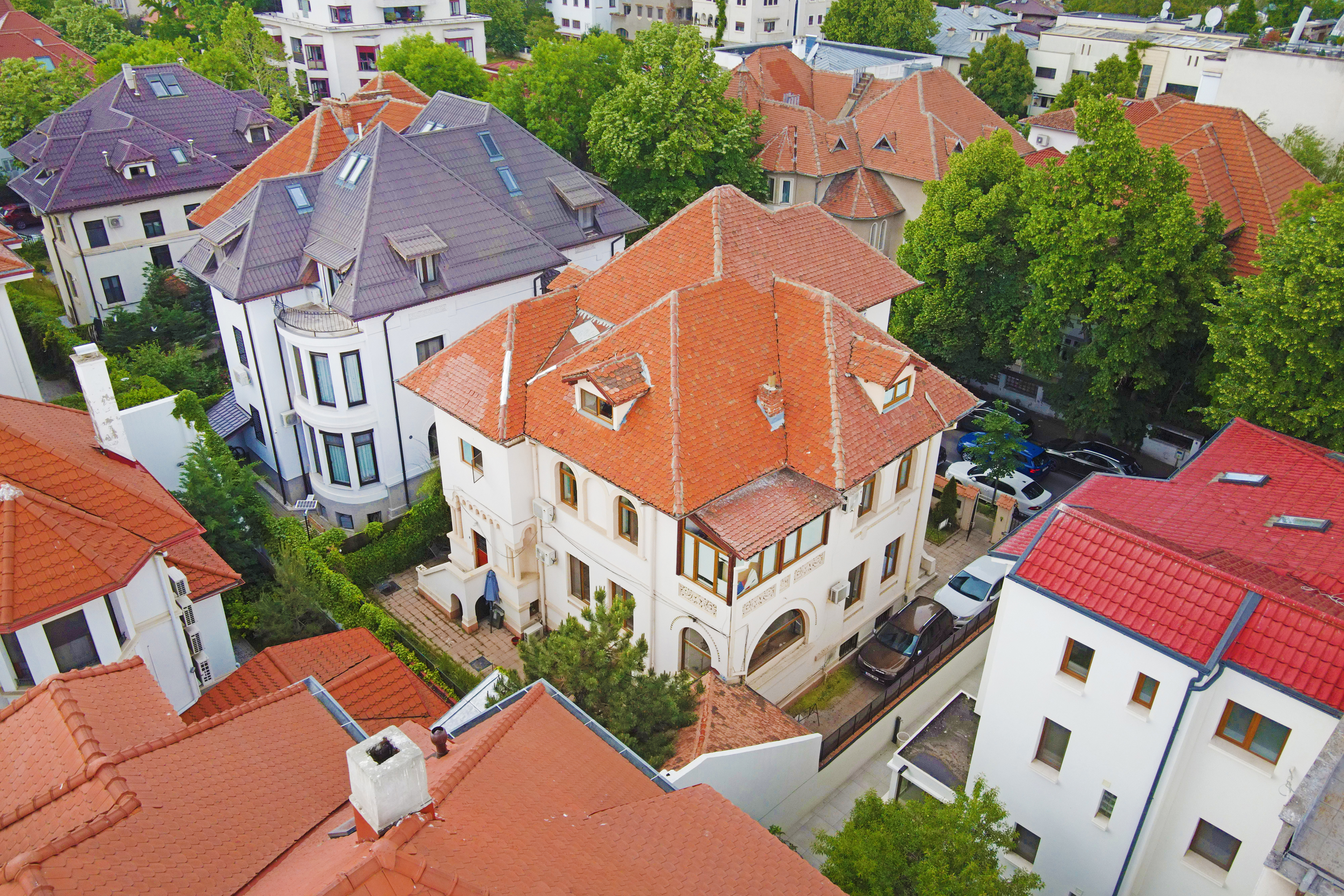  Penescu Villa - Historic Villa in Dorobani-Capitale - 物件實景
